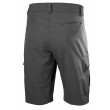 HH Qd Cargo Shorts11" (Uomo)